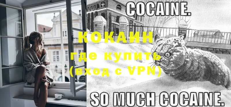 Cocaine Fish Scale  OMG вход  Железноводск 